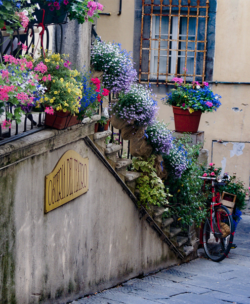 corviscom Motivkarte Blumen-Fahrrad