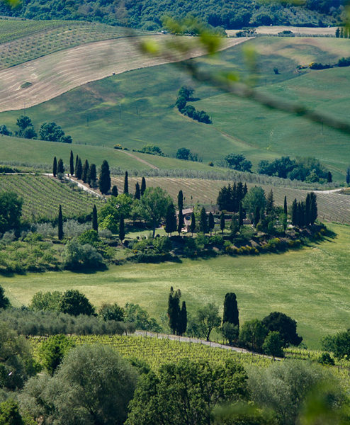 corviscom Motivkarte Gehoeft