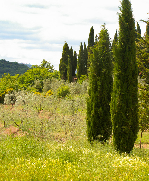 corviscom Motivkarte Landschaft