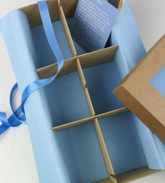 Corviscom 2er Schatulle mit Trennstegen