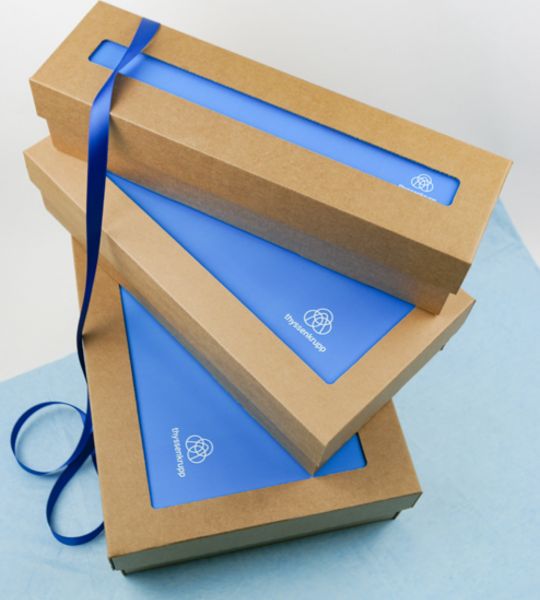 Corviscom Karton mit Thyssen-Krupp Design