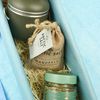 coviscom Geschenkpaket Solo Green