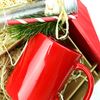 Corviscom Geschenkpaket Weihnachtsschoki Detail